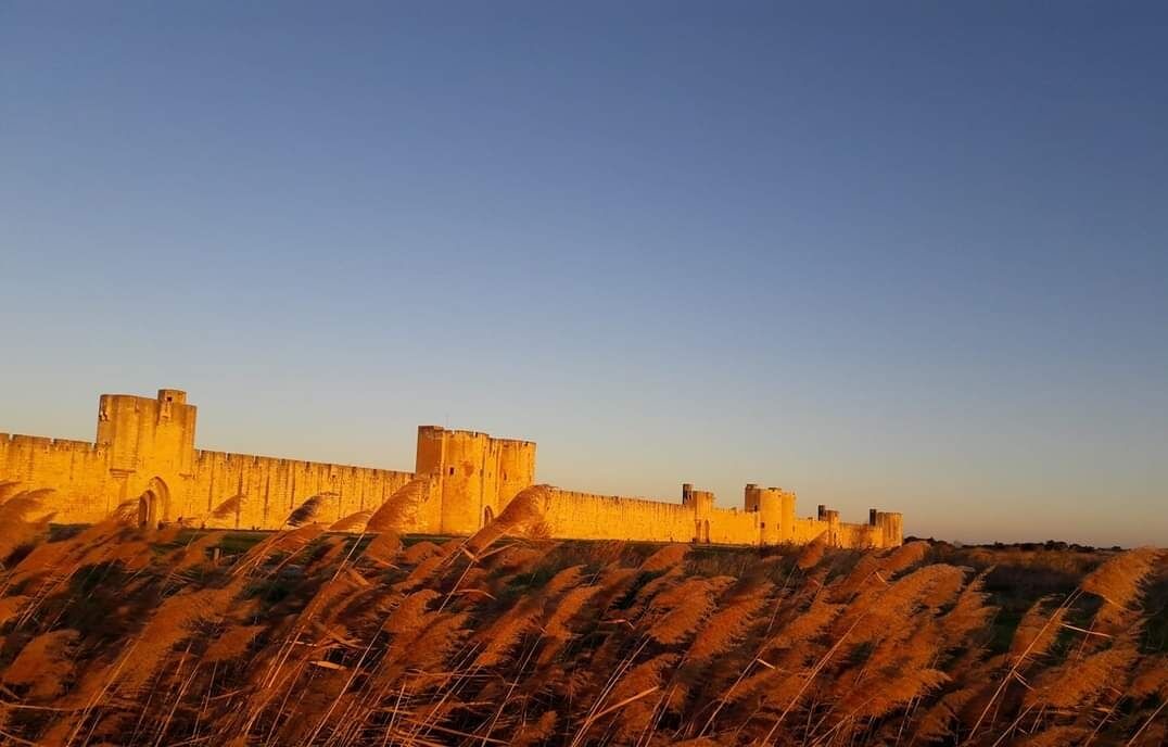 Photo of Others in Aigues-Mortes