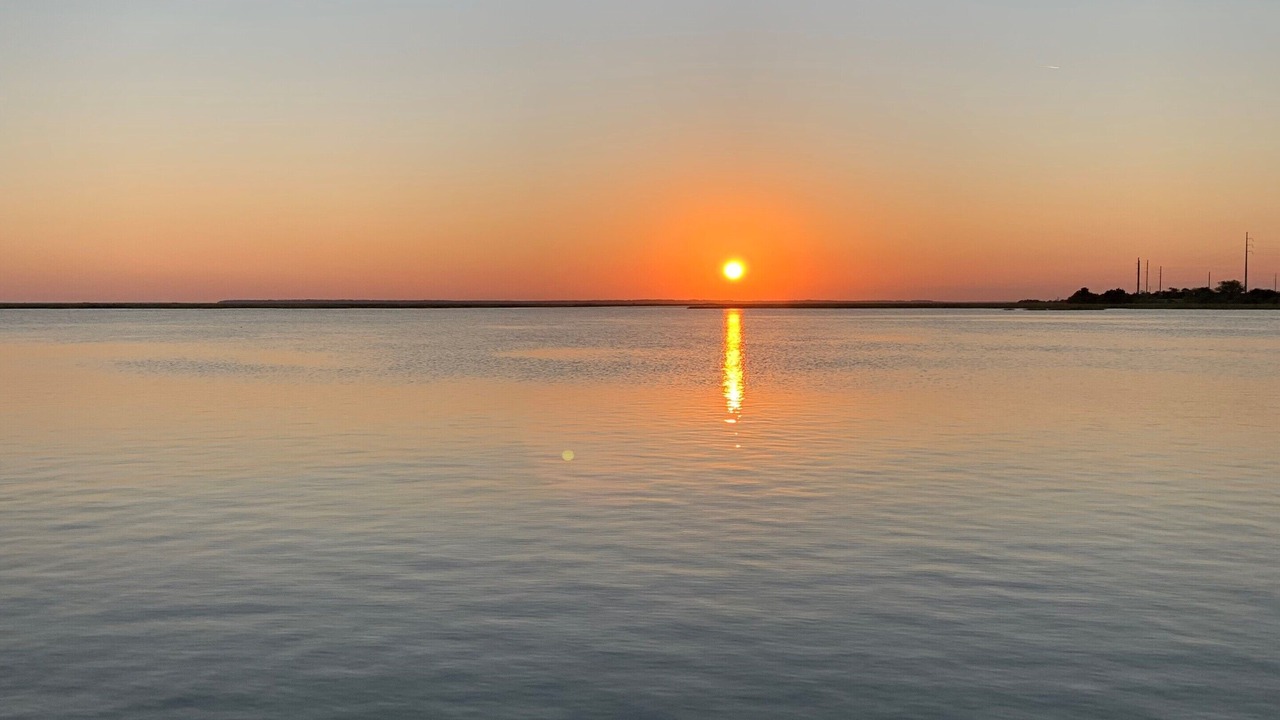 Photo of Others in St. Simons Island