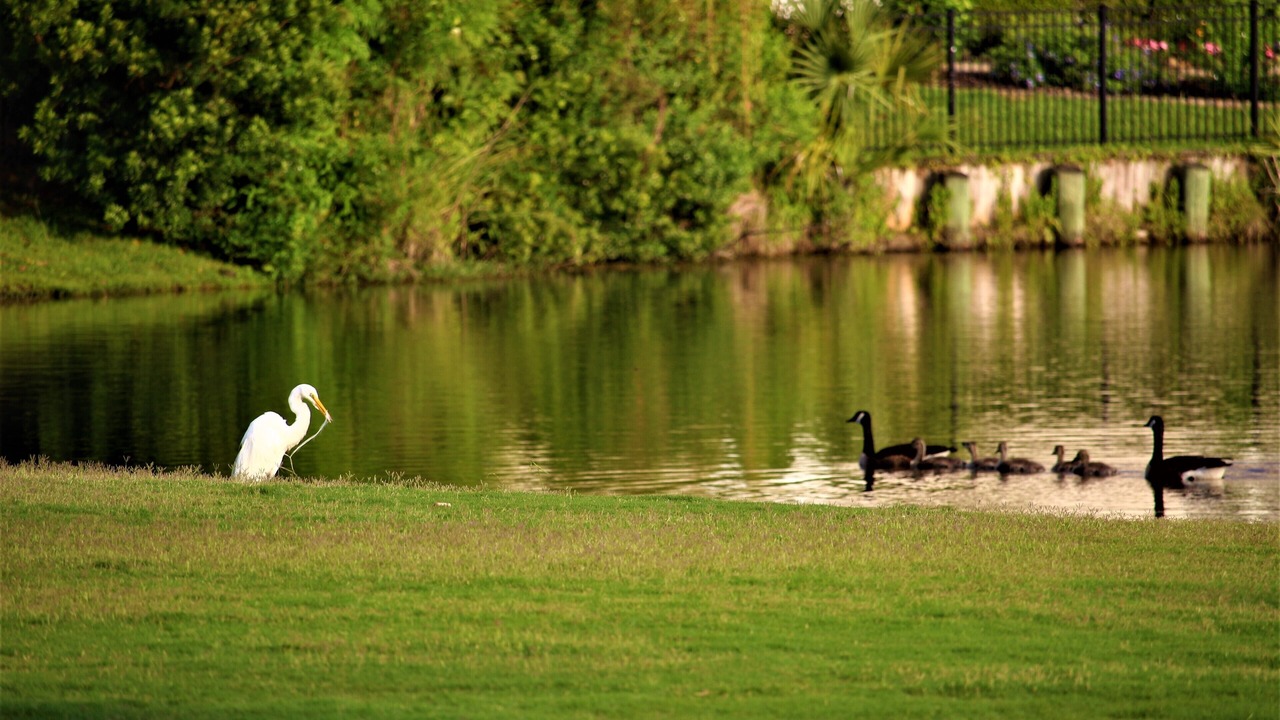Photo of Others in St. Simons Island