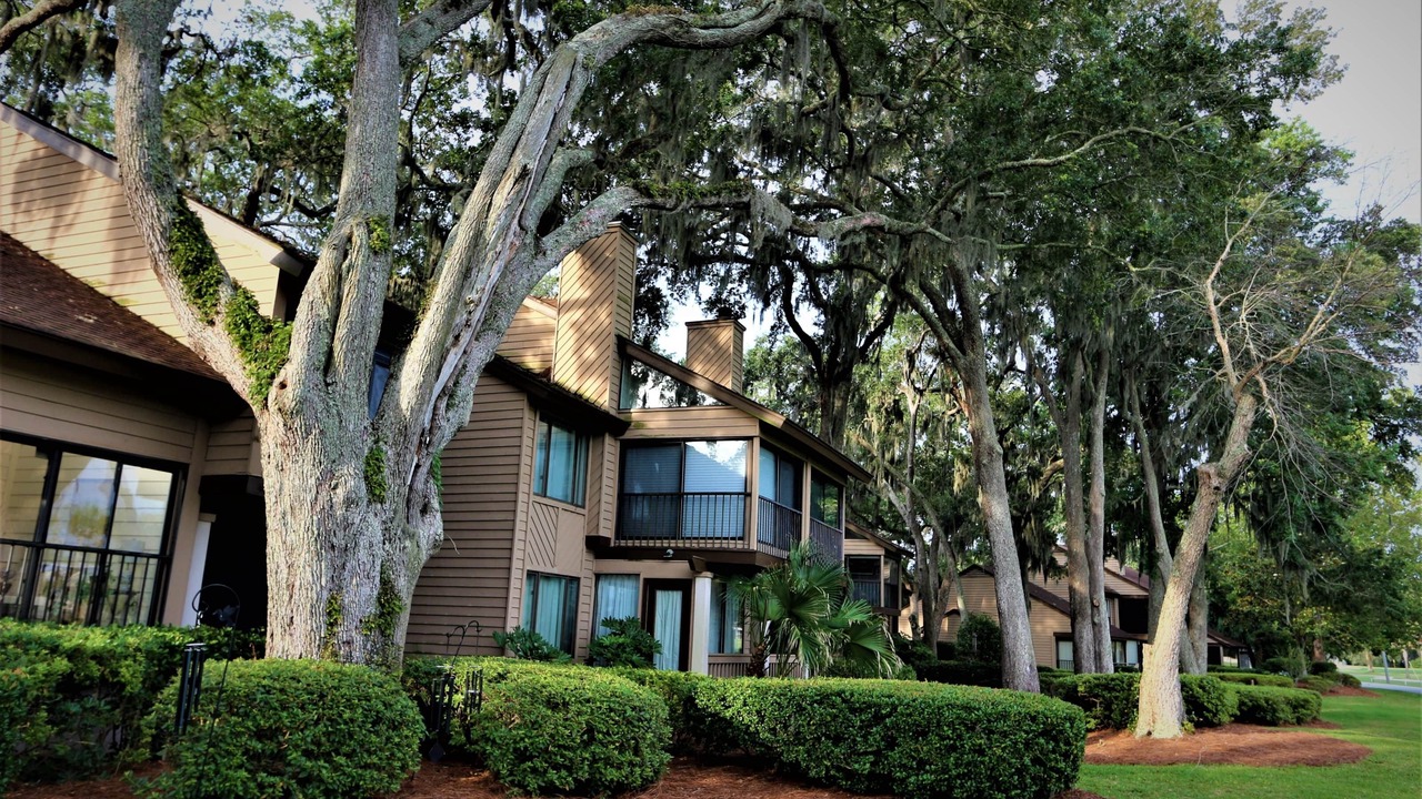 Photo of Others in St. Simons Island