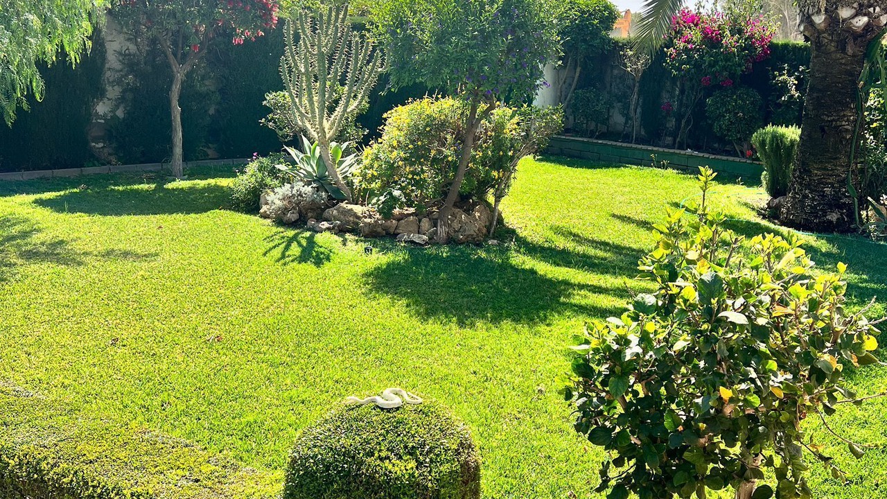 Photo of Outdoor in Montequinto