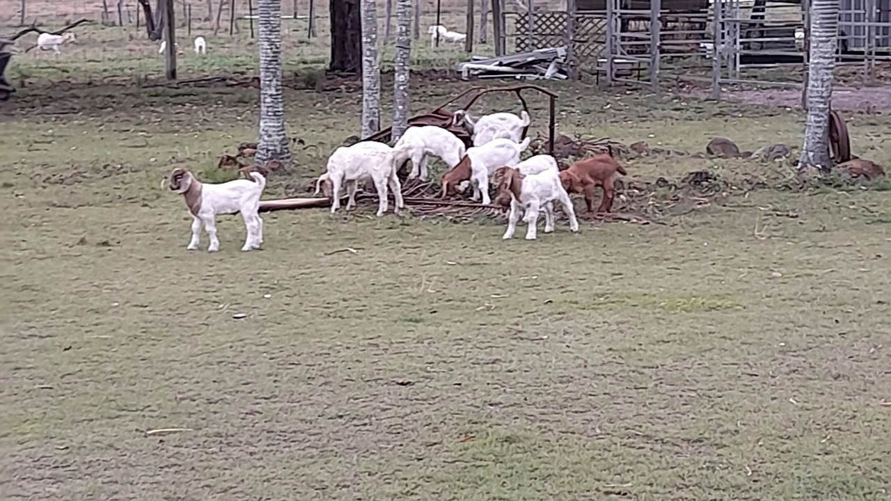 Photo of Outdoor in Coonarr