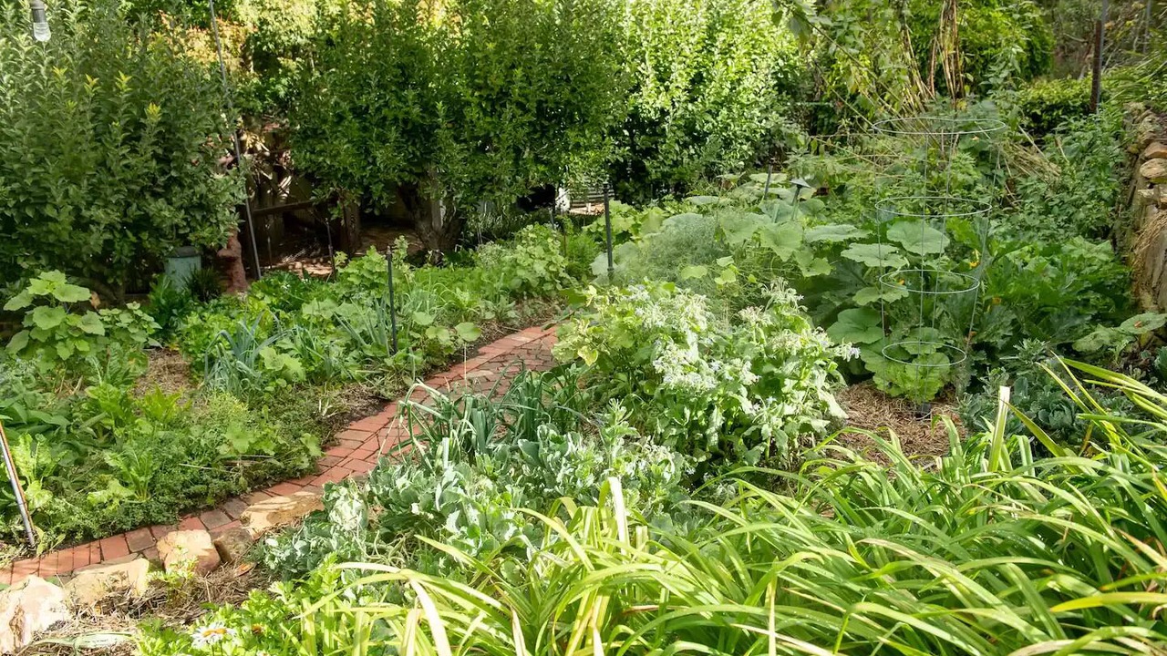 Photo of Outdoor in Mylor