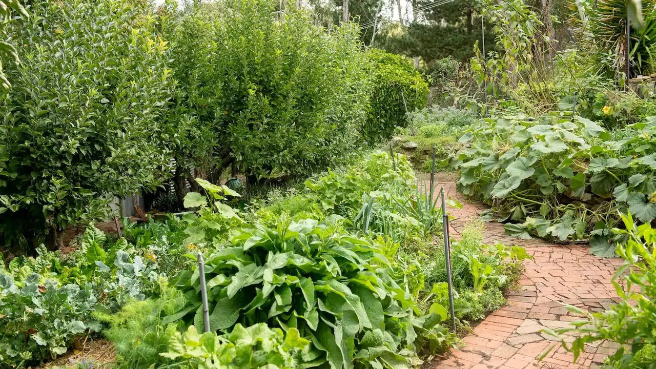 Photo of Outdoor in Mylor