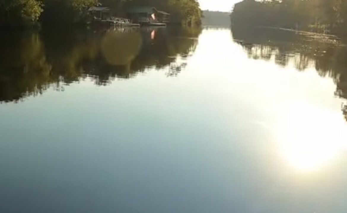 Photo of Others in Kingsland