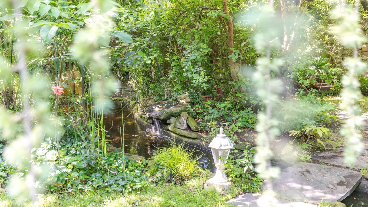 Photo of Outdoor in Las Rozas de Madrid