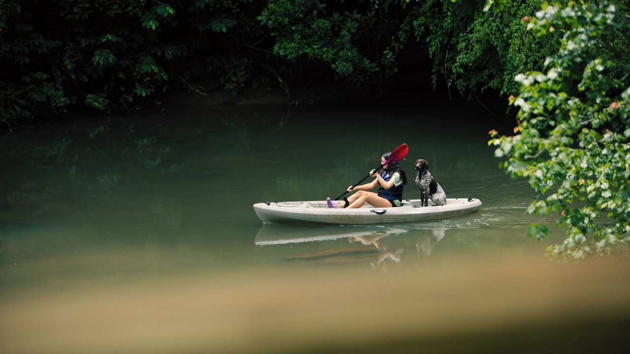 Photo of Others in Dahlonega