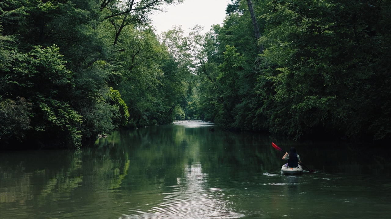 Photo of Others in Dahlonega