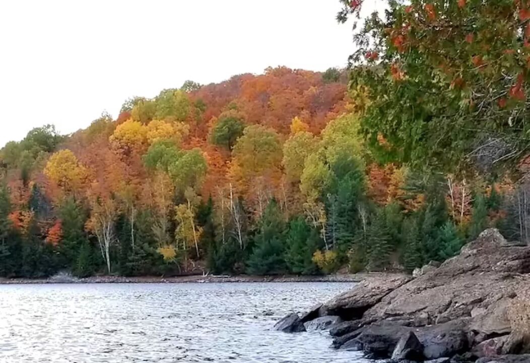 Photo of Outdoor in Highlands East