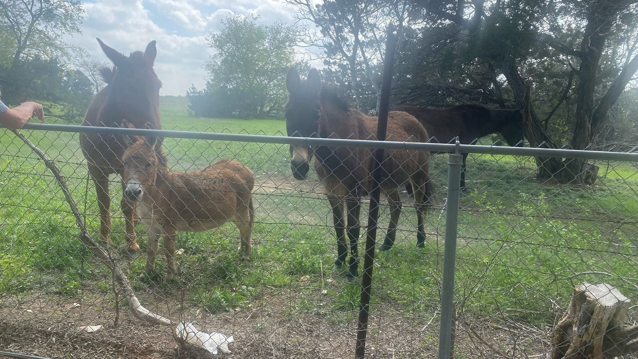 Photo of Outdoor in Crawford