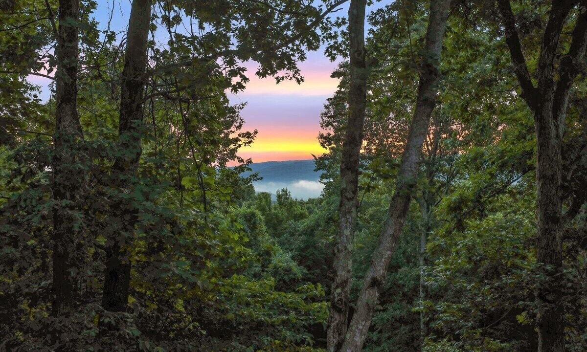 Photo of Others in West Fork