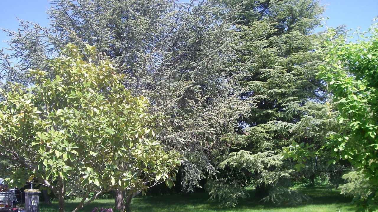 Photo of Outdoor in Espondeilhan