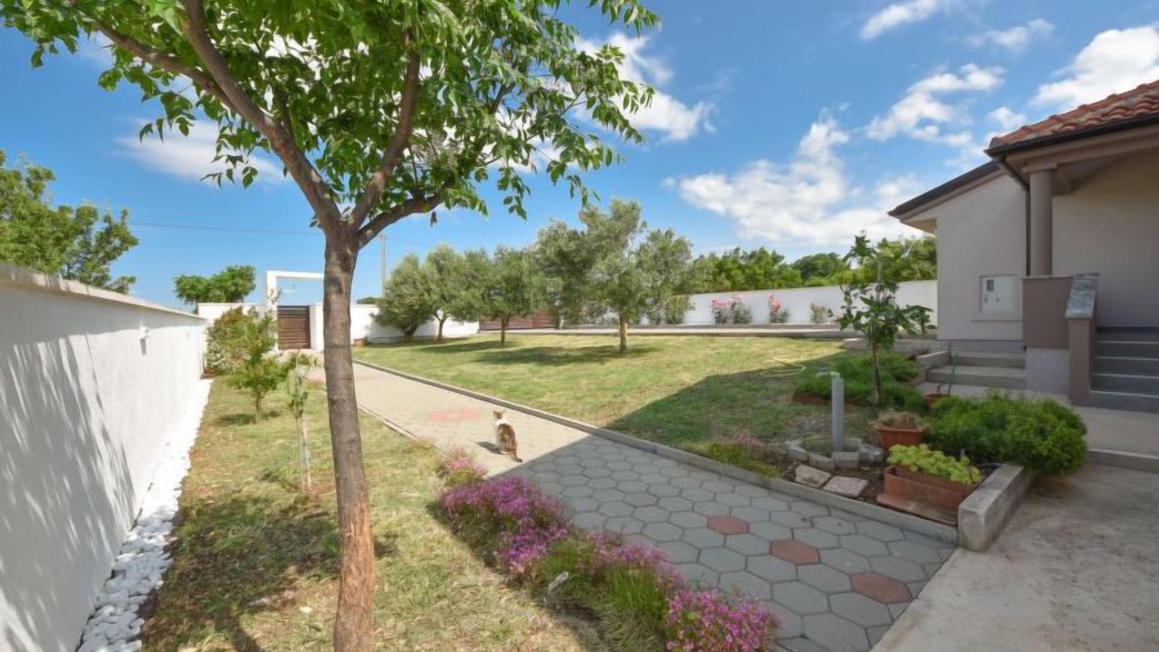 Photo of Outdoor in Velim