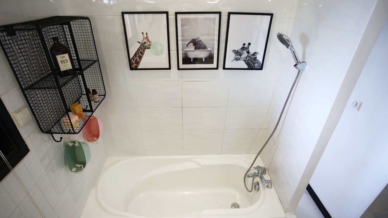 Photo of Bathroom in Flourens