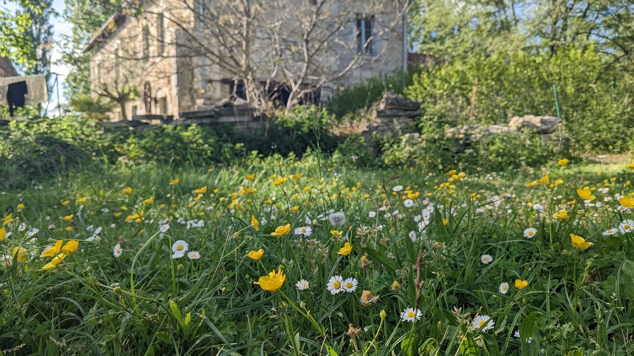 Photo of Outdoor in La Mothe-Saint-Heray