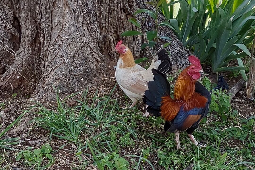 Photo of Outdoor in Lebanon