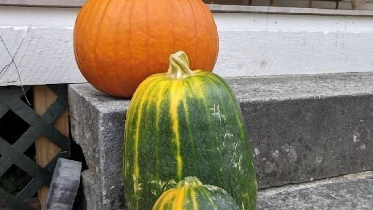 Photo of Others in Rumney