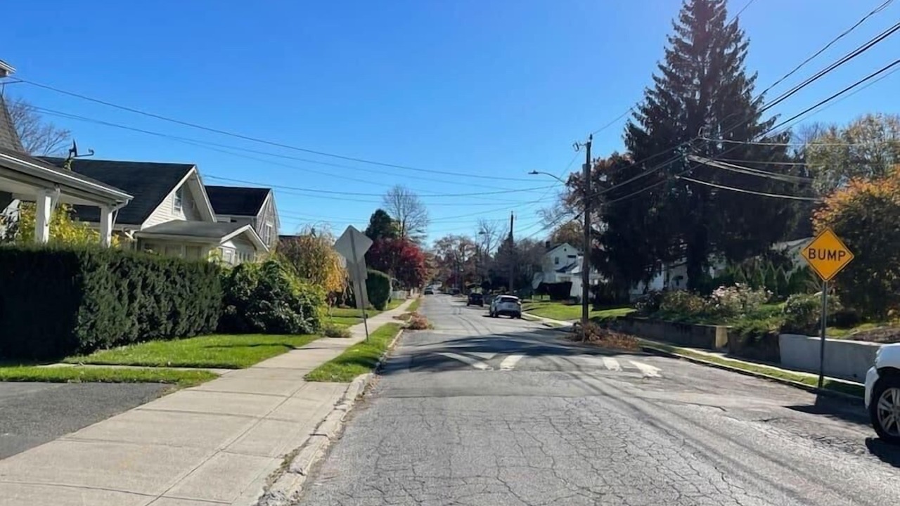 Photo of Others in Cove - East Side - Shippan