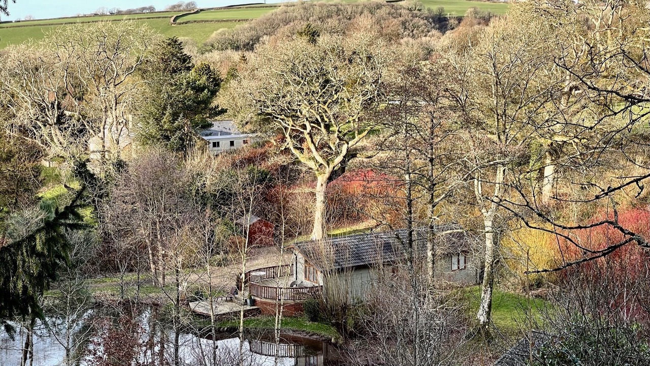 Photo of Others in Molleston