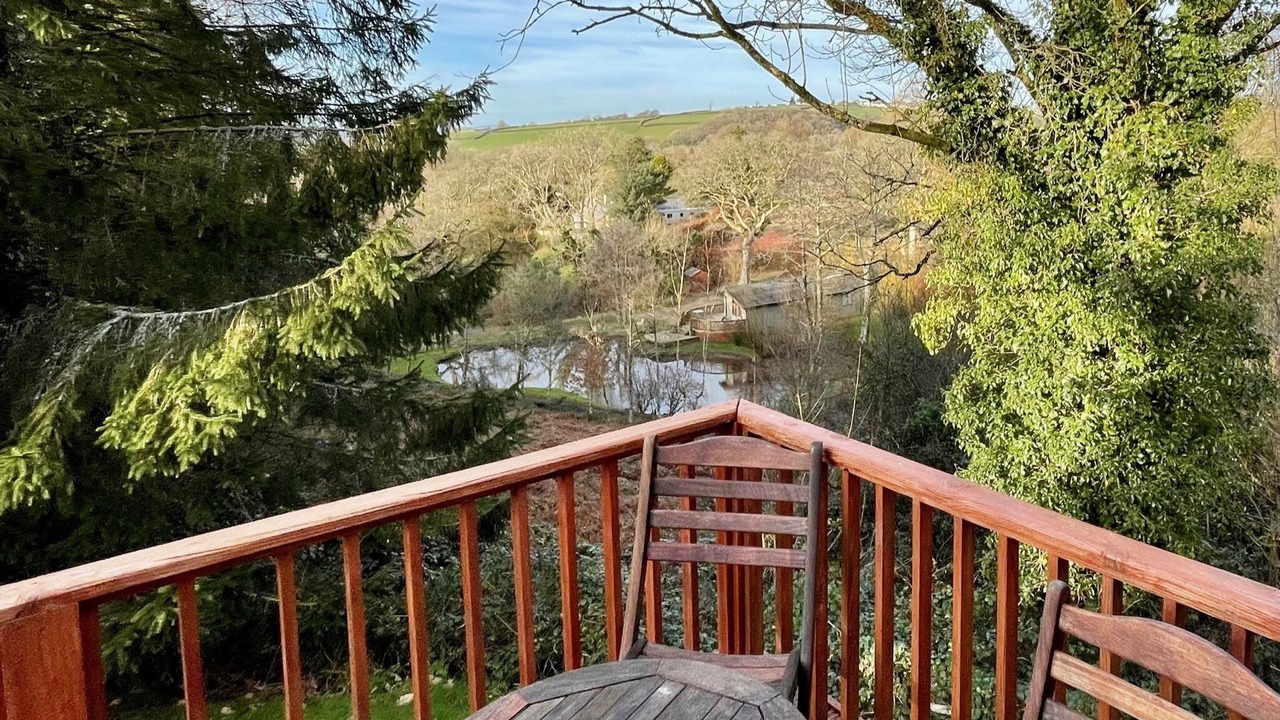 Photo of Others in Molleston