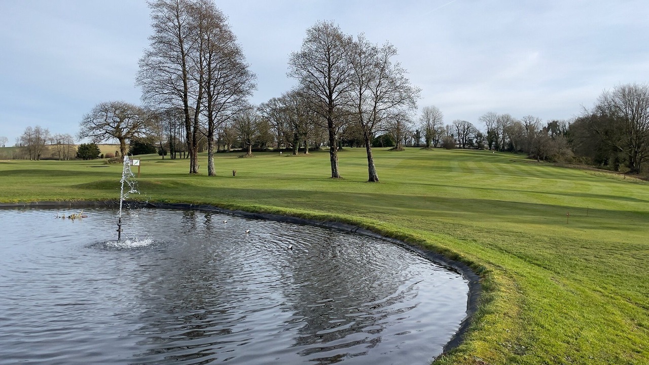 Photo of Others in Molleston