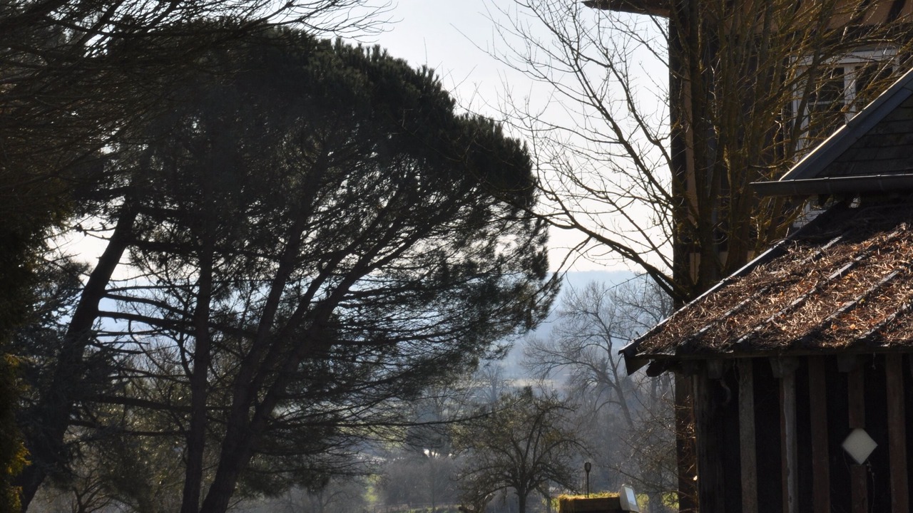 Photo of Outdoor in Le Mesnil-Durand