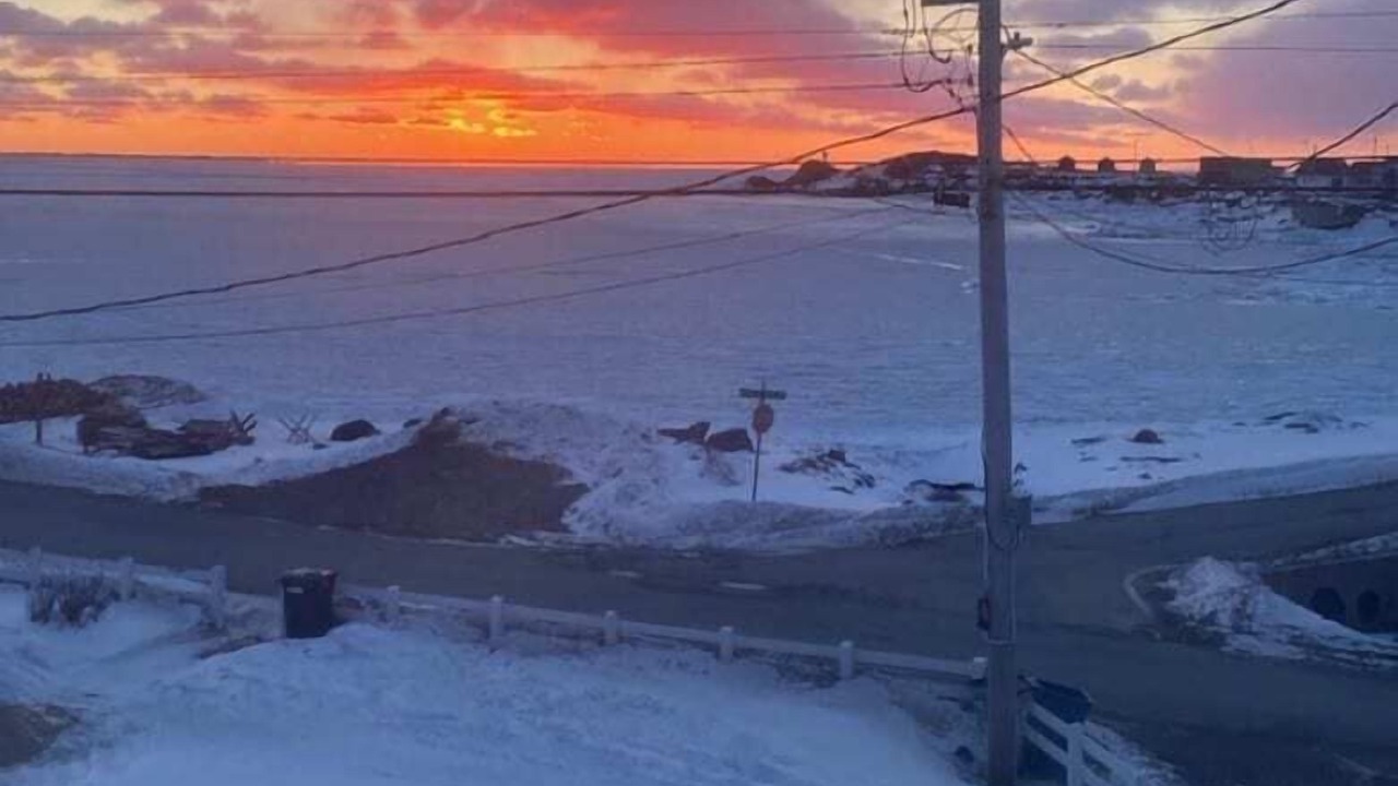 Photo of Others in Twillingate