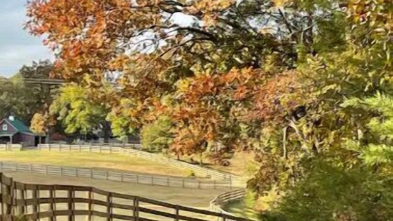 Photo of Outdoor in Greensboro