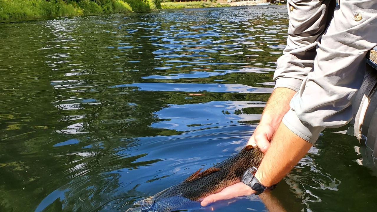 Photo of Outdoor in Chewelah