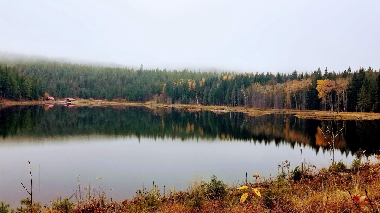 Photo of Outdoor in Chewelah