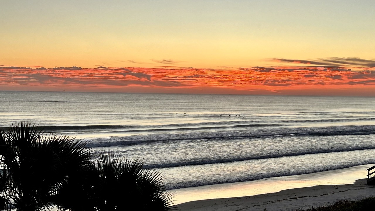 Photo of Others in Light House Shores