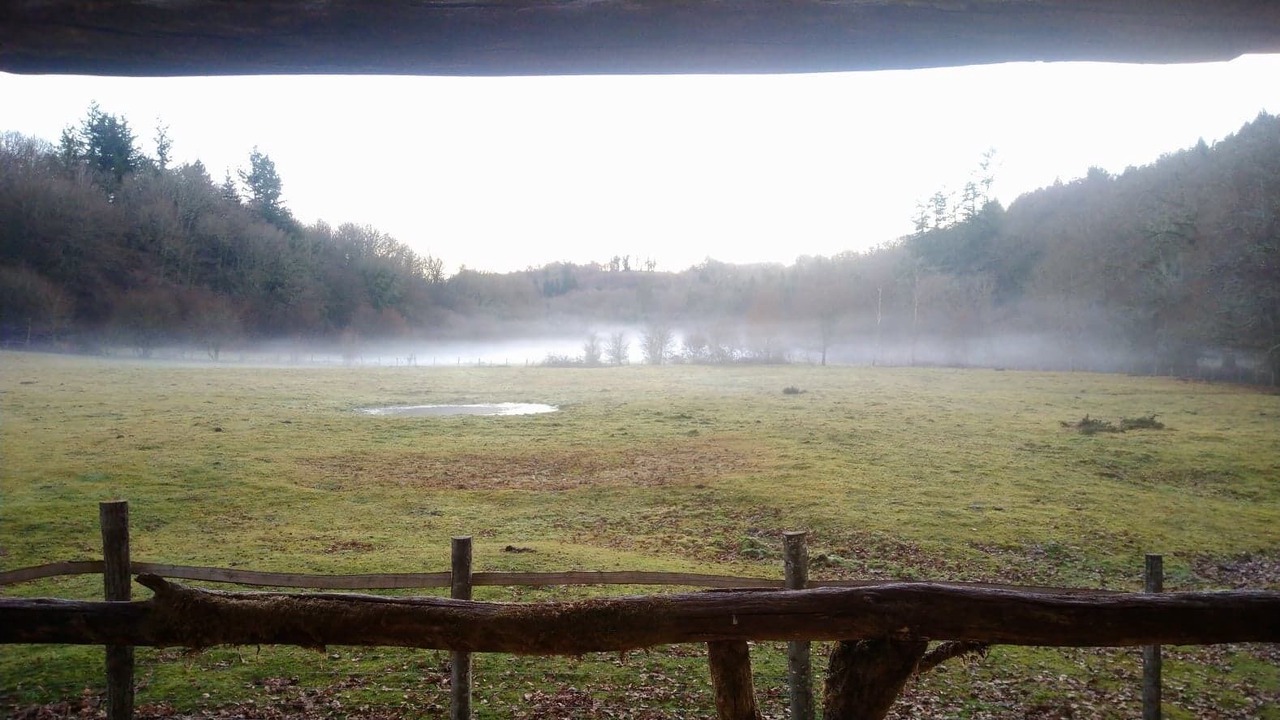 Photo of Outdoor in Saint-Eloy-les-Tuileries