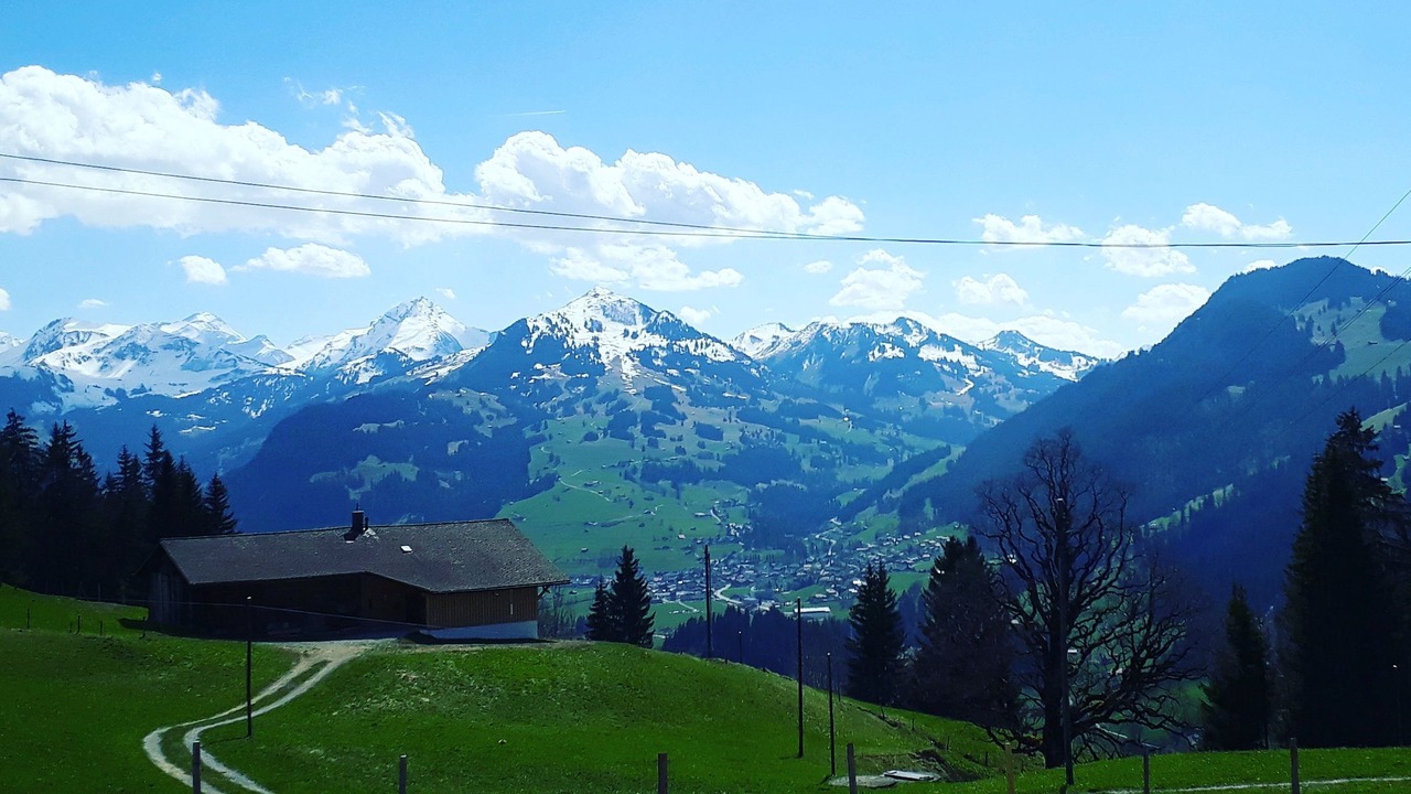 Photo of Others in Zweisimmen
