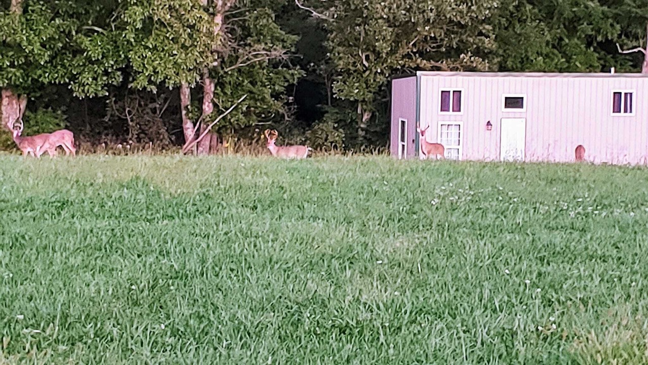Photo of Outdoor in Mansfield