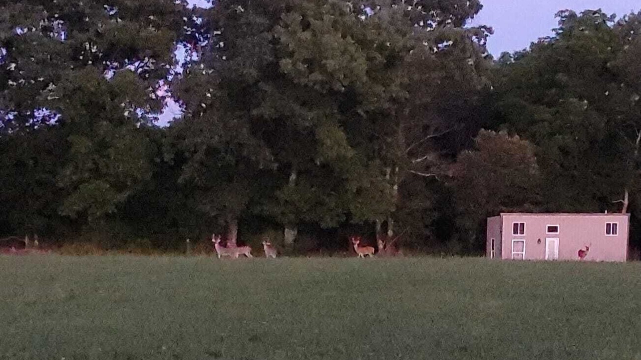 Photo of Others in Mansfield