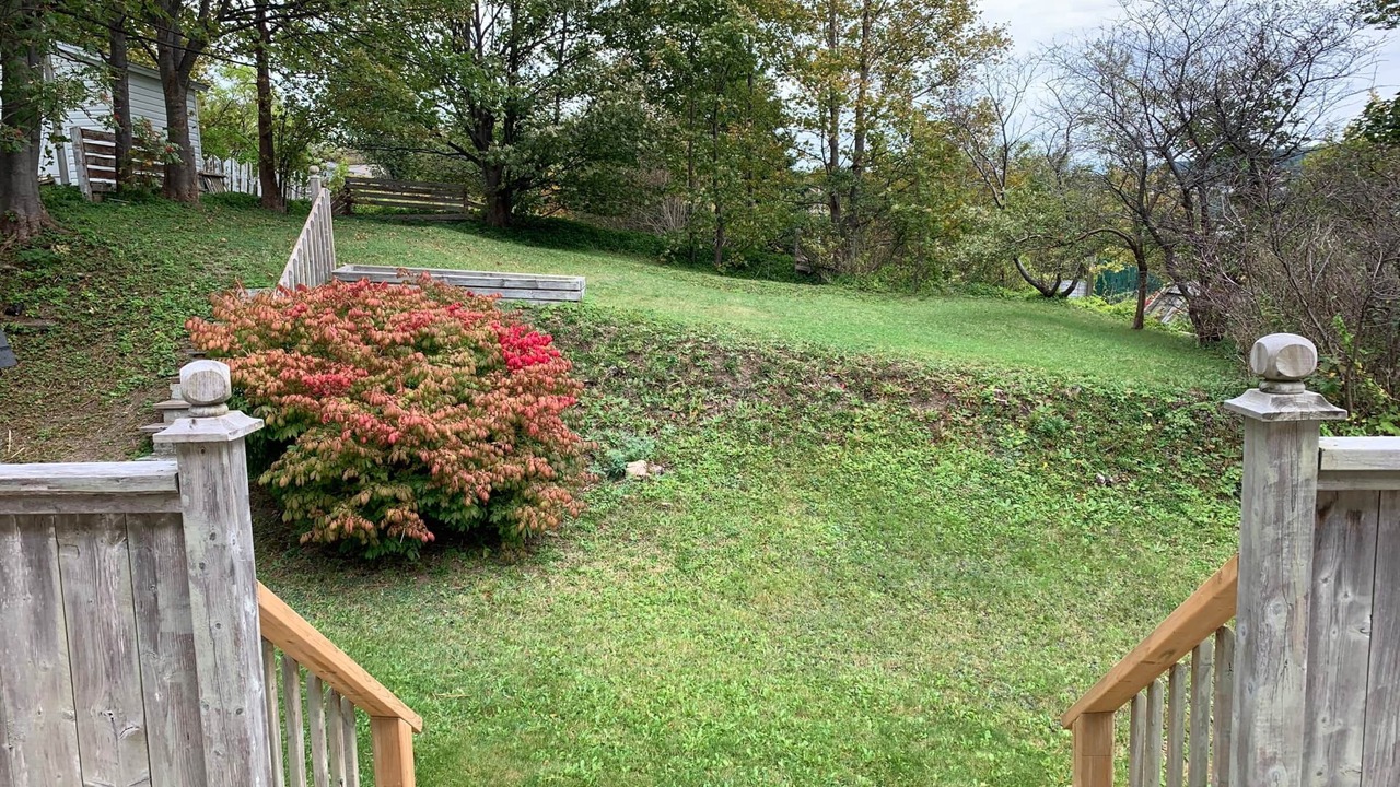 Photo of Others in West End