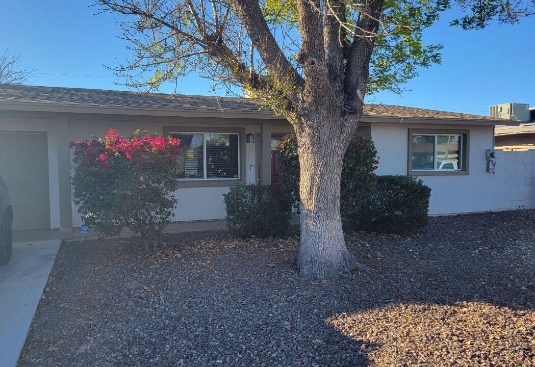 Photo of Outdoor in North Mountain