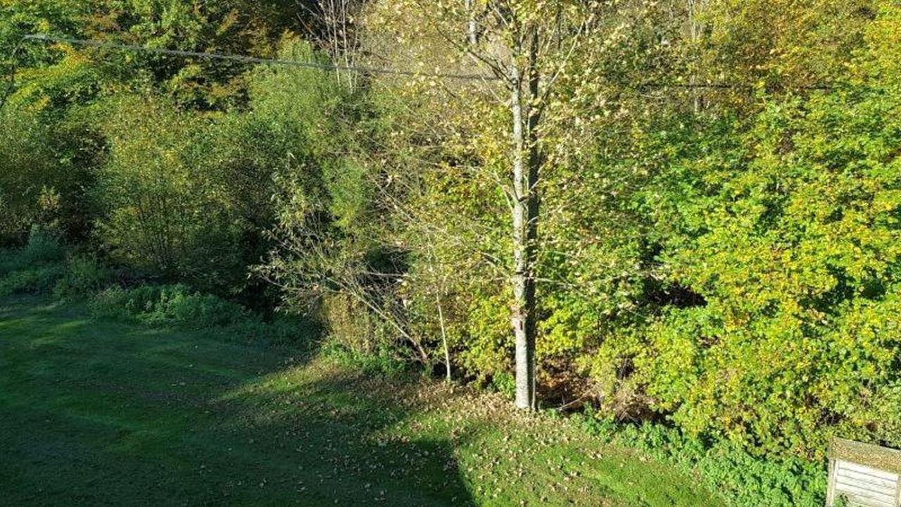 Photo of Others in Lubine