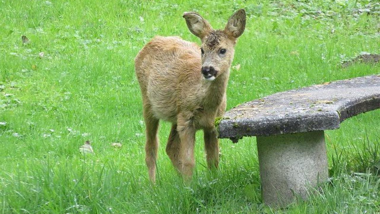 Photo of Outdoor in Lubine