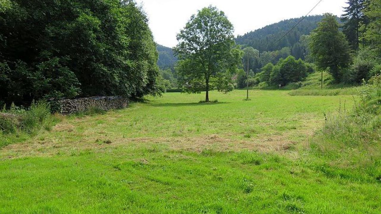 Photo of Outdoor in Lubine