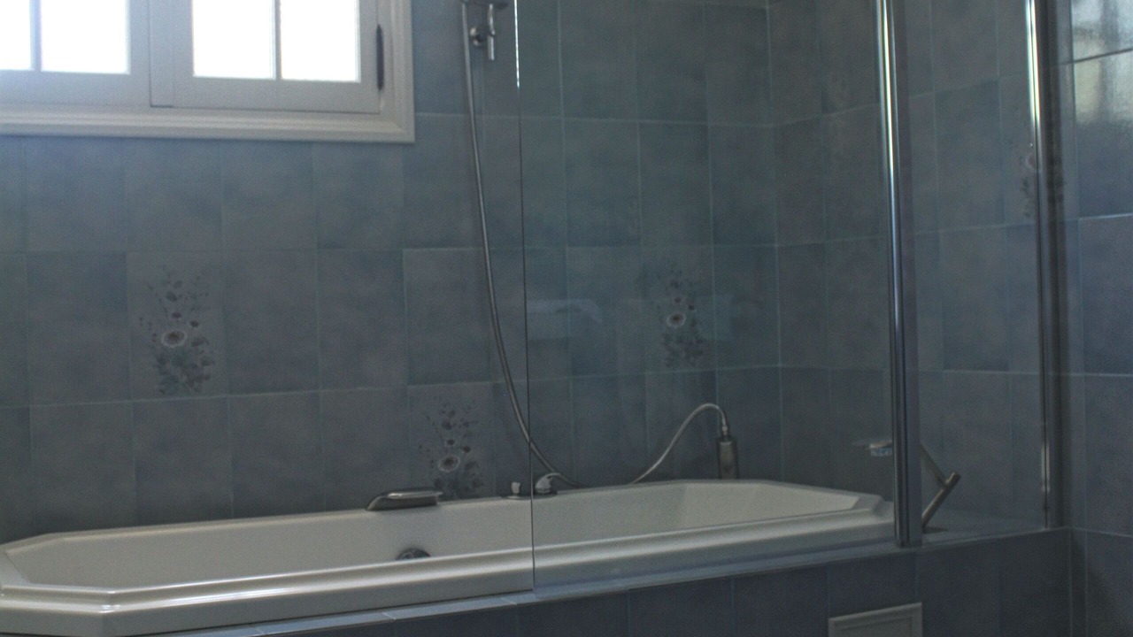 Photo of Bathroom in Saint-Julien-de-Cassagnas