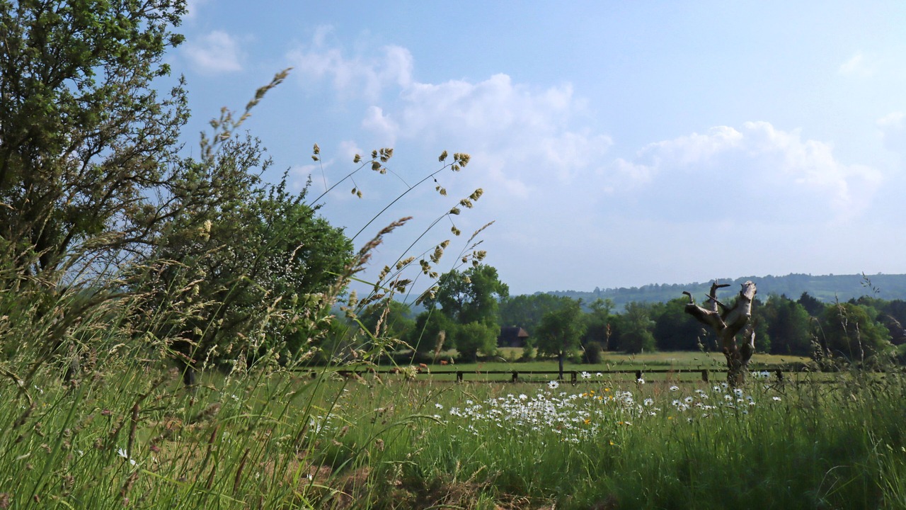 Photo of Outdoor in Le Mesnil-Durand