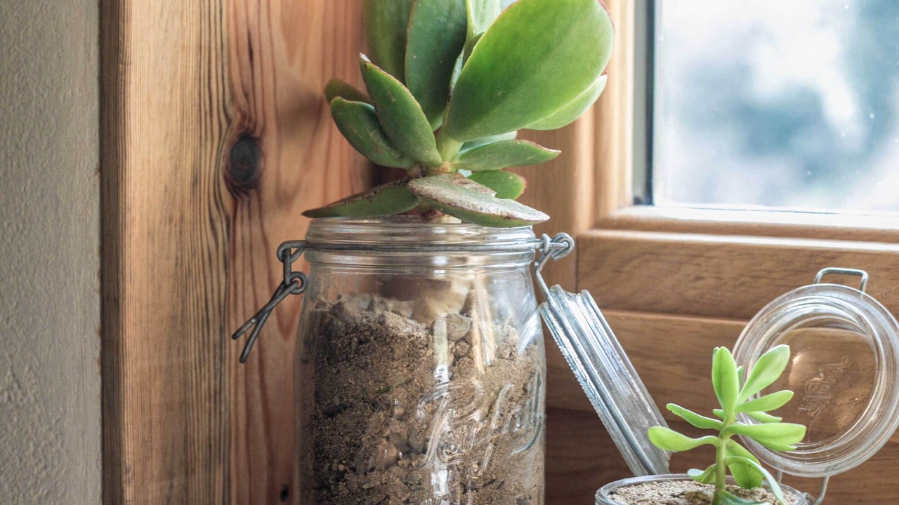 Photo of Others in Chiatra