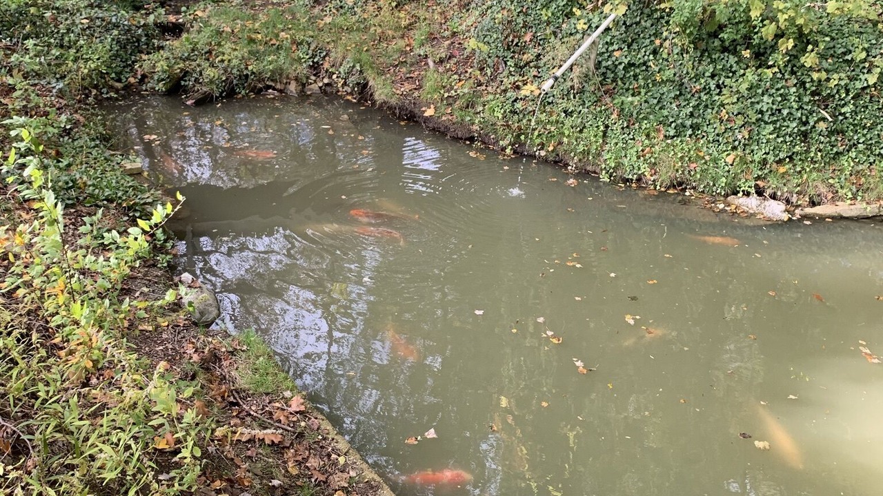 Photo of Others in Conneaut