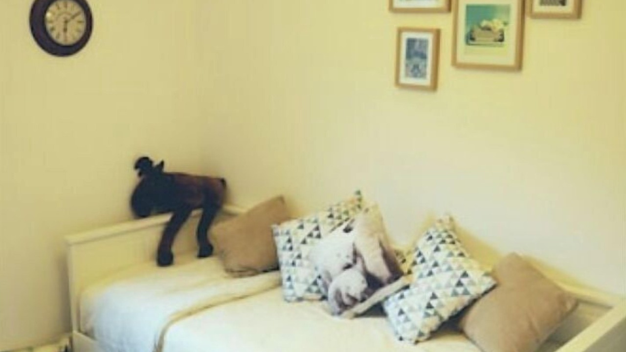 Photo of Bedroom in Pailhac