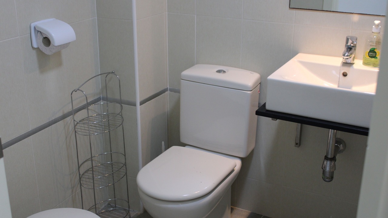 Photo of Bathroom in Palomares