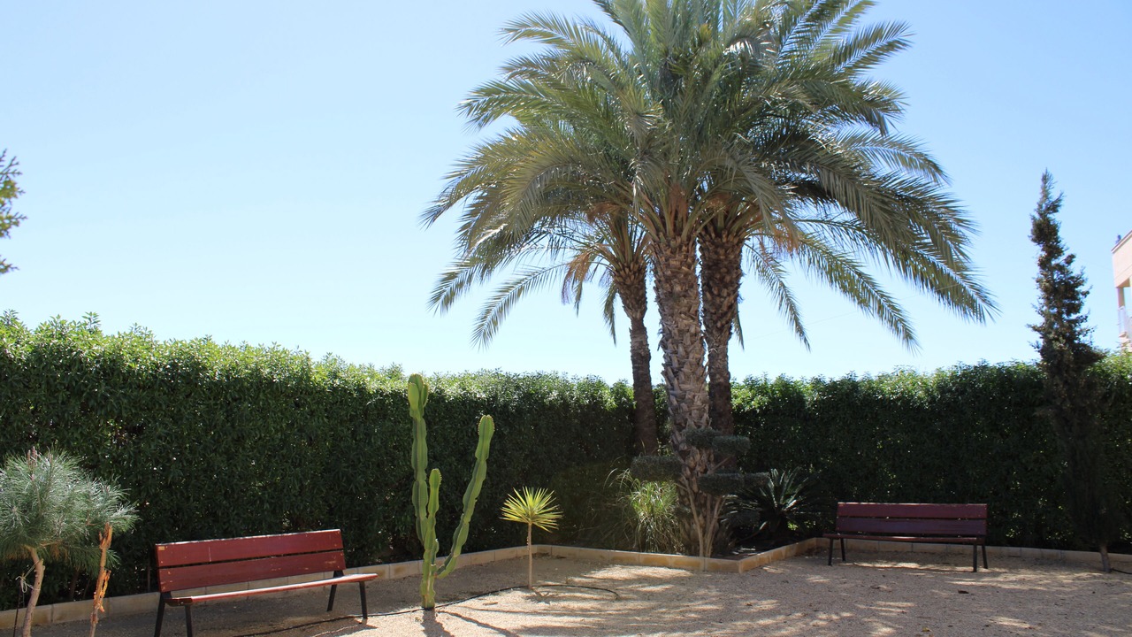 Photo of Outdoor in Palomares