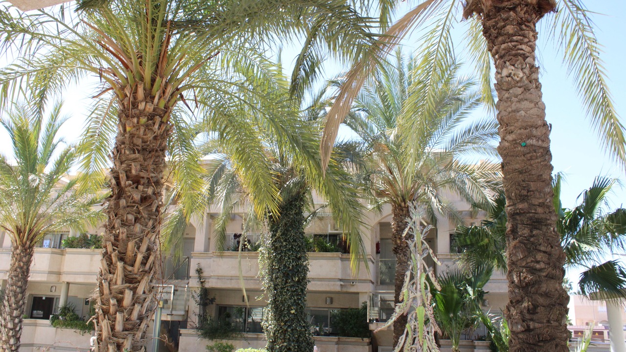 Photo of Outdoor in Palomares