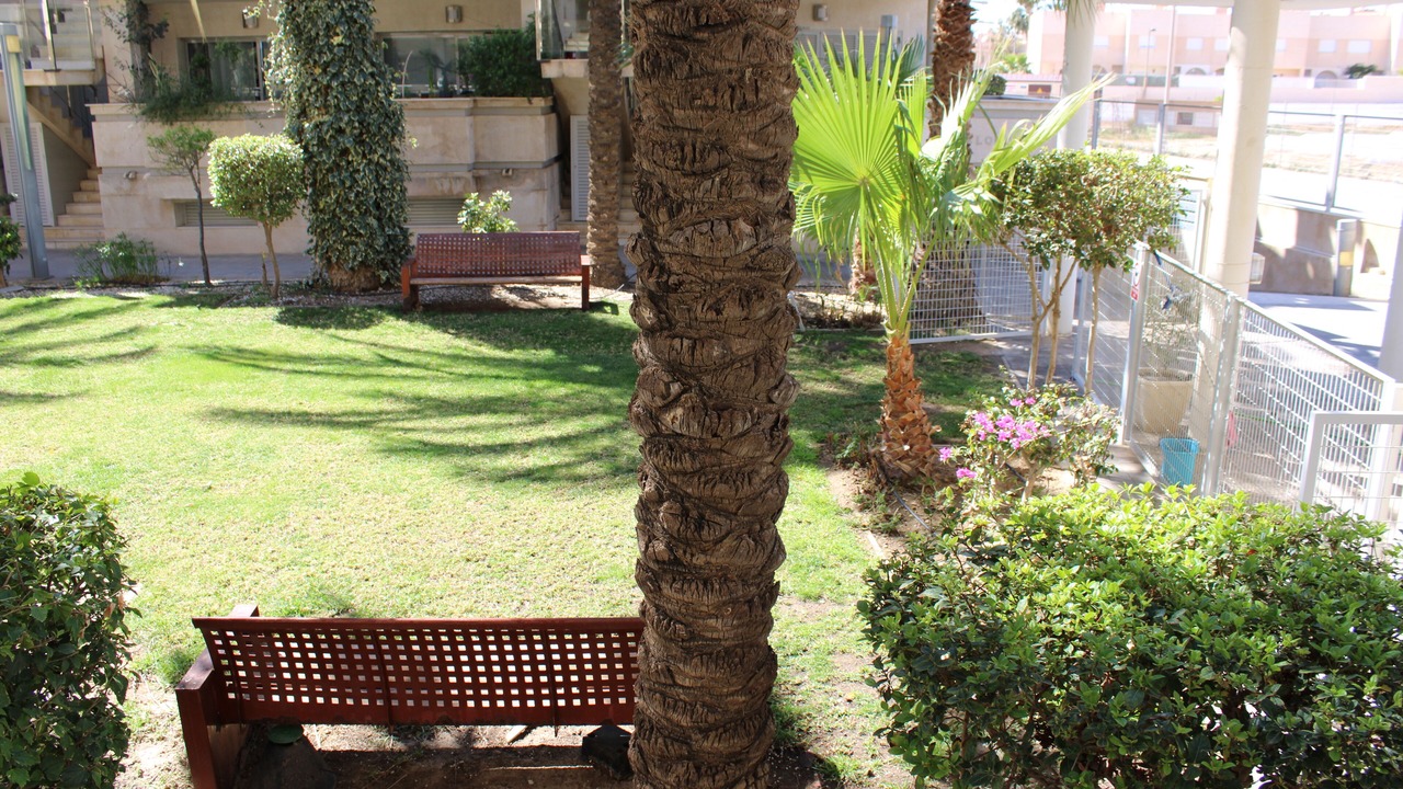 Photo of Outdoor in Palomares