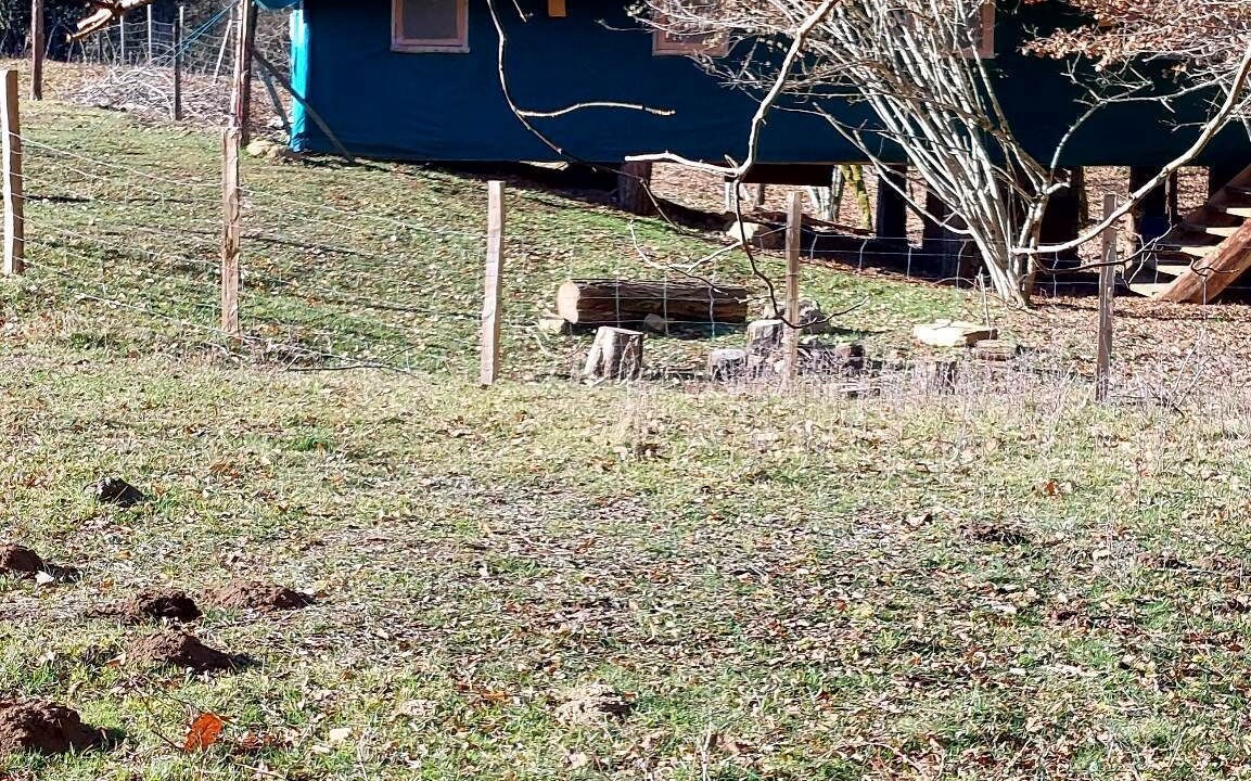 Photo of Outdoor in Saint-Eloy-les-Tuileries